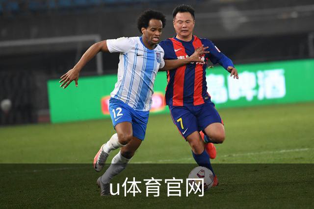 u体育官网公司简介